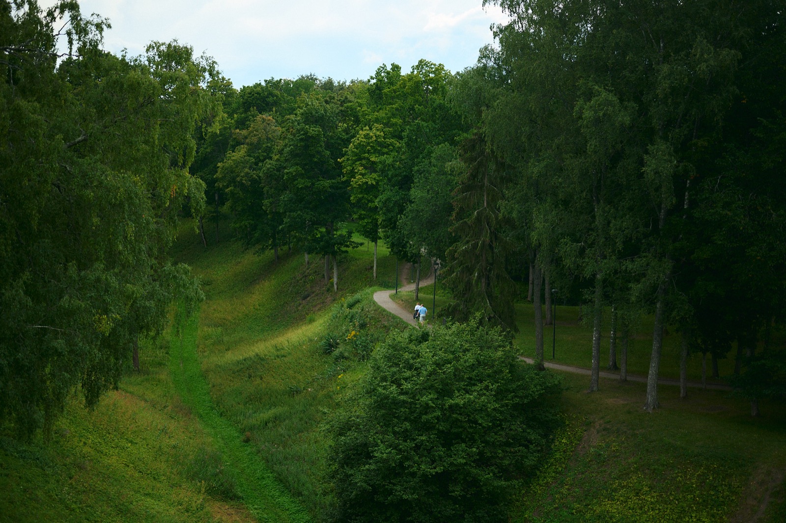 森の遊歩道を歩く人々
